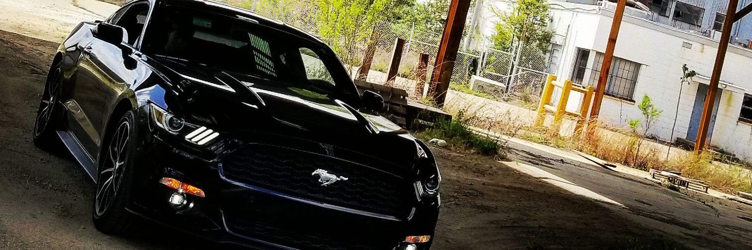 BryanUrps04's profile banner image