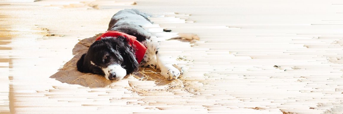 Half Stop Sessions banner