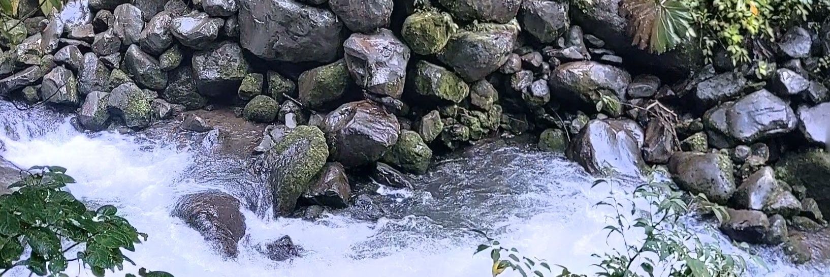 Chad_Harding's profile banner image