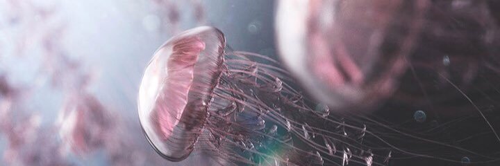 MonicaBeluchi's profile banner image