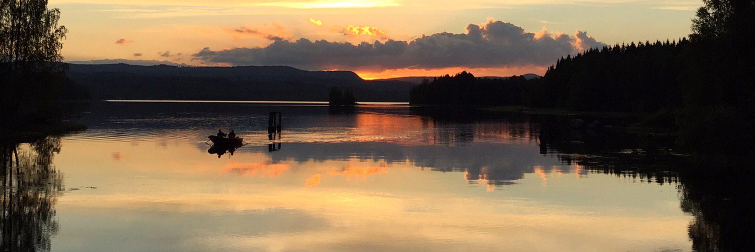isaksson_ellen's profile banner image