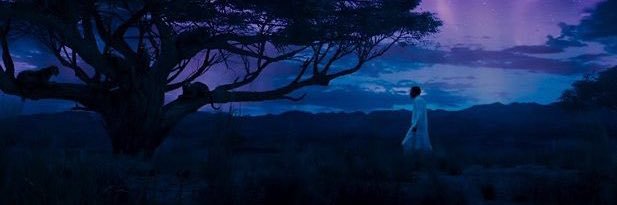 marceljg_'s profile banner image