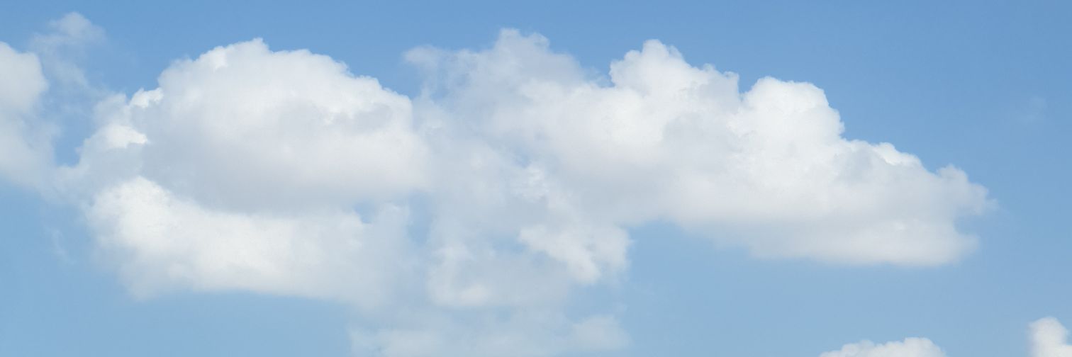 sarakalshai's profile banner image