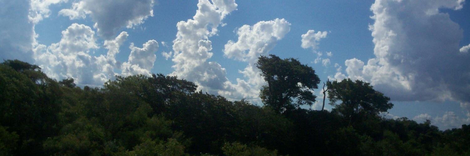mb_bluesky's profile banner image
