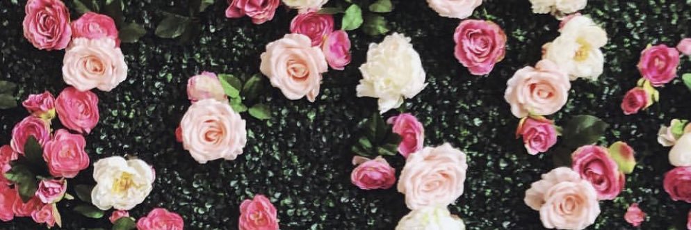 AllieMiller2012's profile banner image
