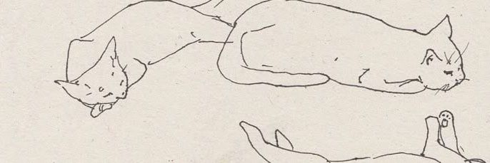moblckberi's profile banner image