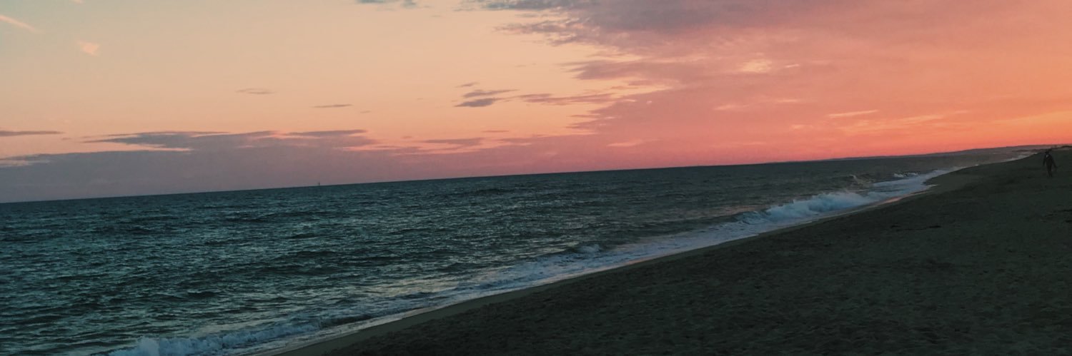 Lauren Sheehan banner