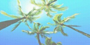 collinsmbkgdr's profile banner image