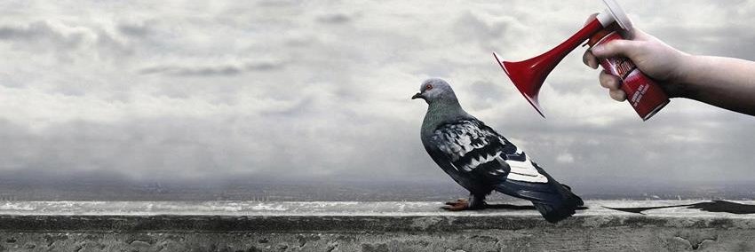 EdHarris4's profile banner image