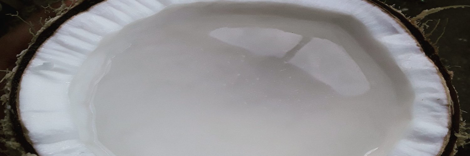 ru_fiji's profile banner image