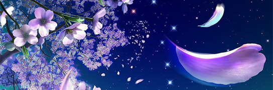 BorderofLife's profile banner image