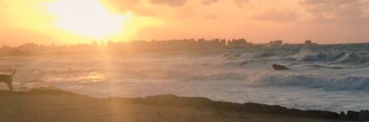 RadwaTayeb's profile banner image