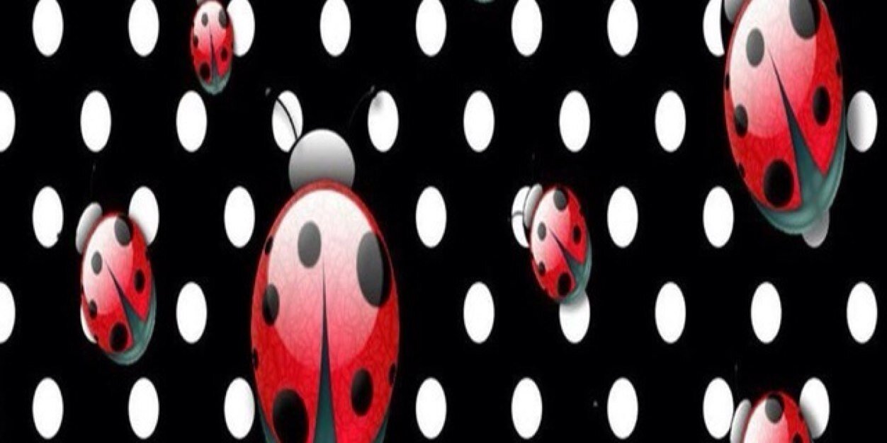 MonnaJean's profile banner image