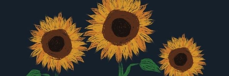 Mr_bm4's profile banner image