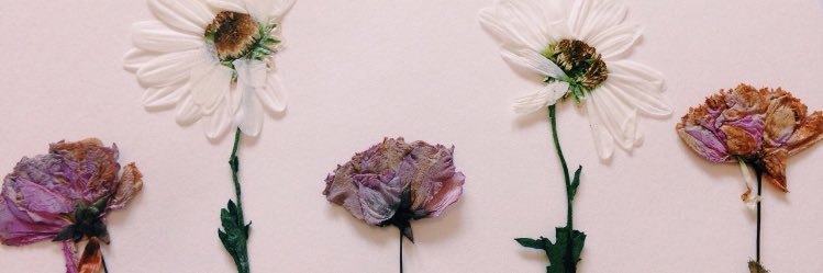 Ashleigh Sincebaugh banner