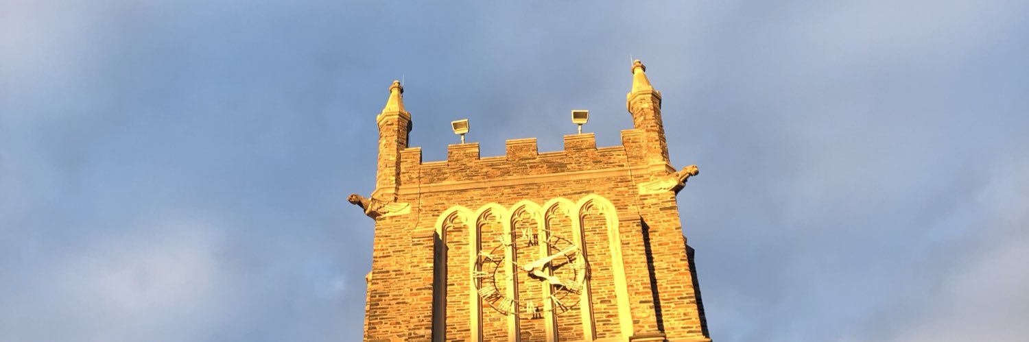 LFiepke's profile banner image