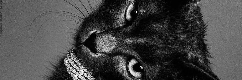 diplomata do hedonismo banner