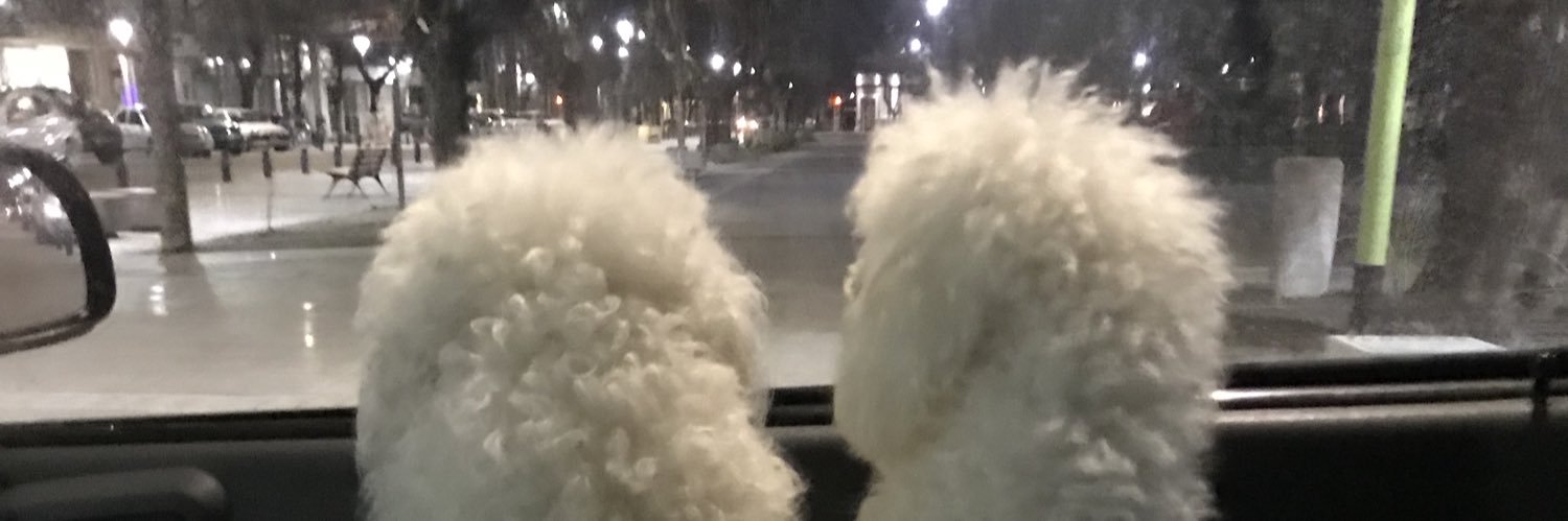 valemassacesi's profile banner image
