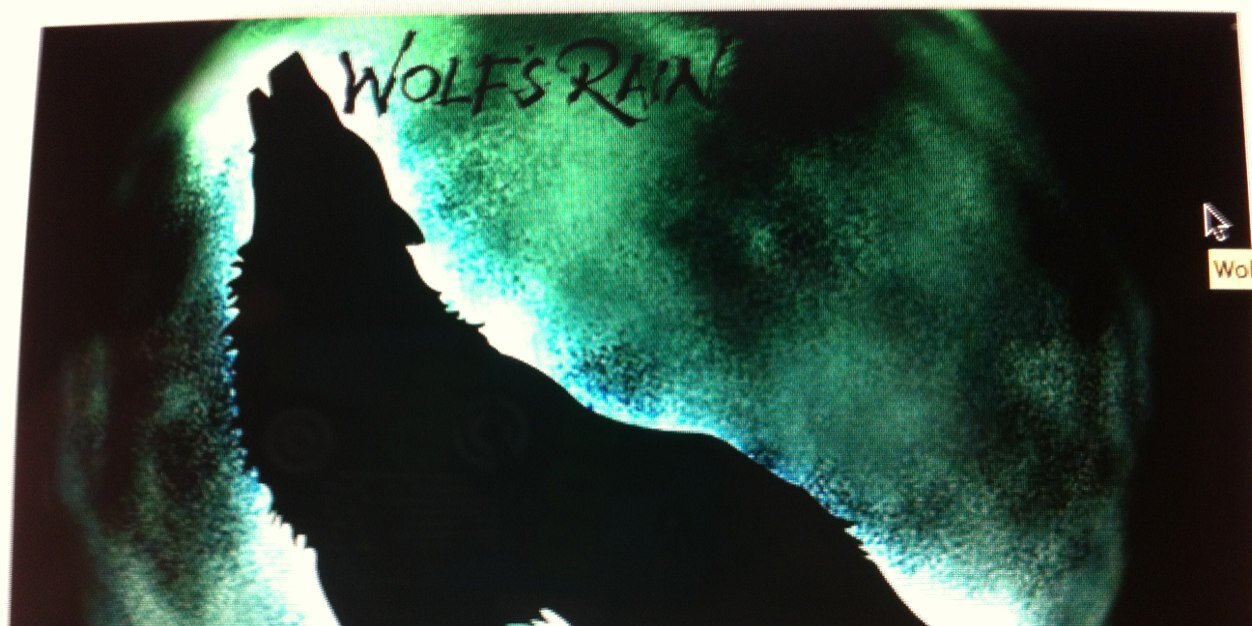 WolfLeader19's profile banner image