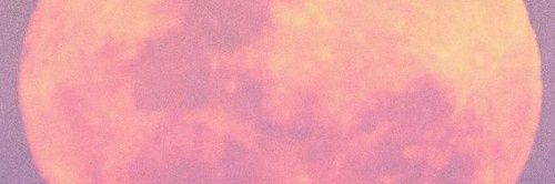 Mark Boscawen 💧🐀🌻🌎🌡🚴🏼‍♂️🤿🔊💉💉💉💉💉💉😷 banner