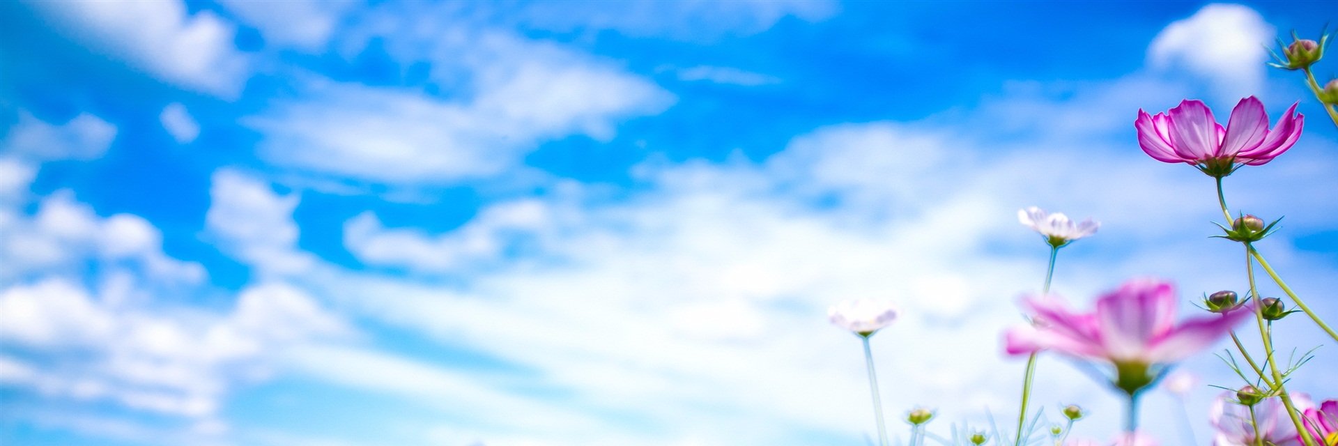 ✩ banner