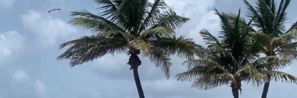 eringaines_'s profile banner image