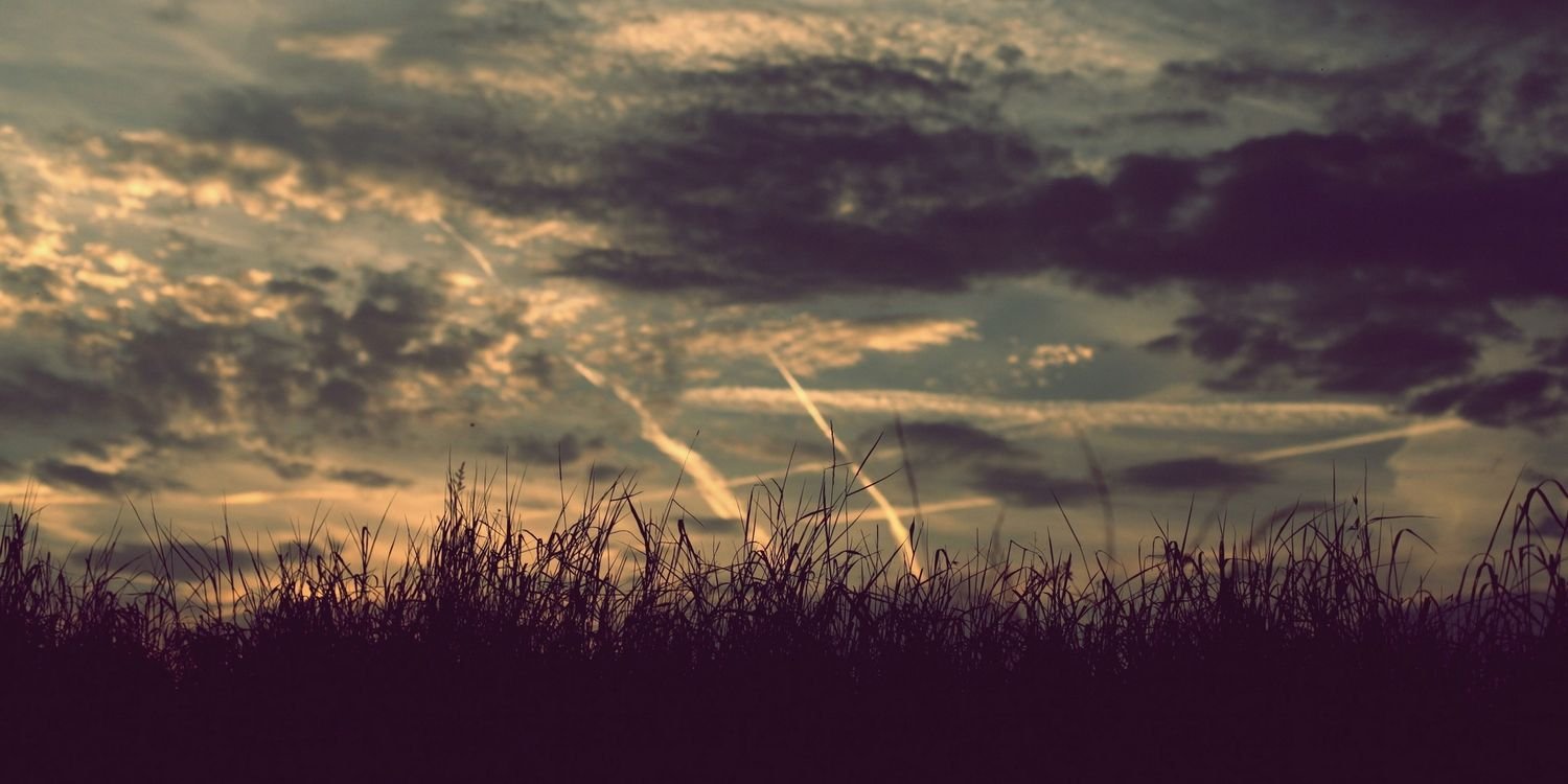 yo_amberrr2011's profile banner image