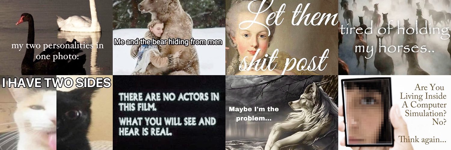 mother of cats banner