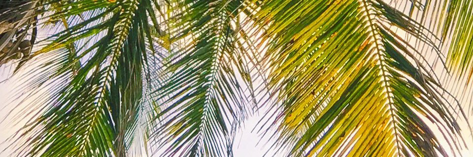 that_taryn's profile banner image