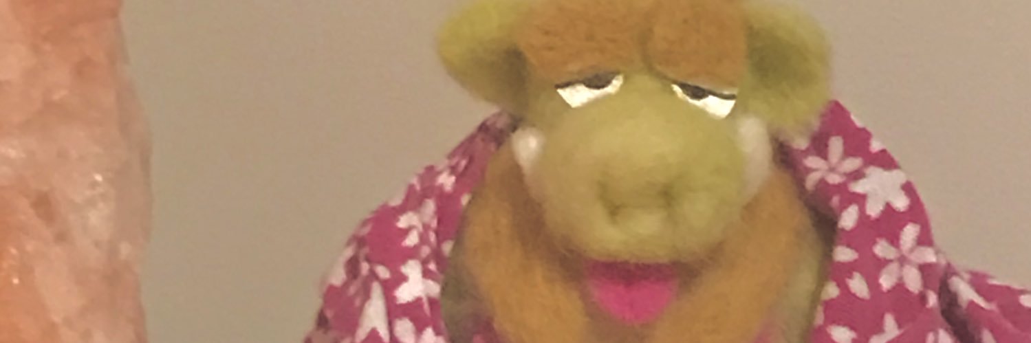 🛤Hi I’m Rohly🏜 banner