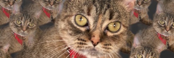 chemaofficial Profile Banner