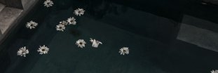 analuciarech's profile banner image