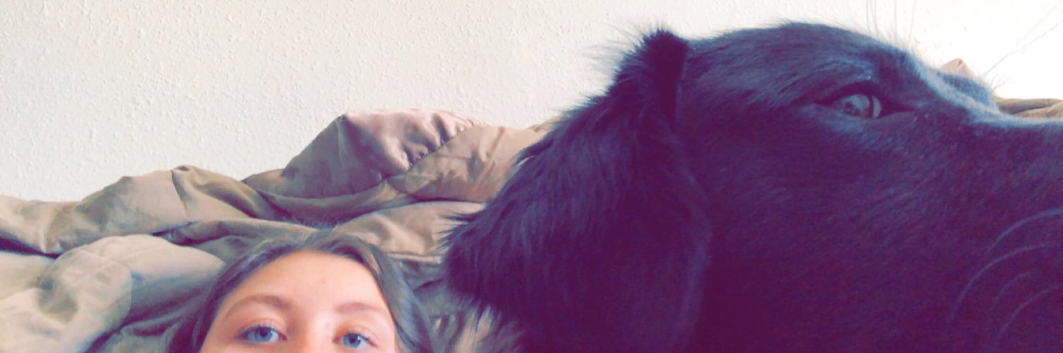 linds_lebas's profile banner image