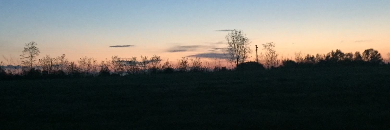 9roby8's profile banner image