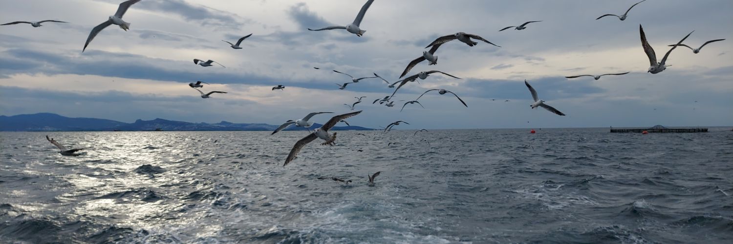 KoparalHalil's profile banner image