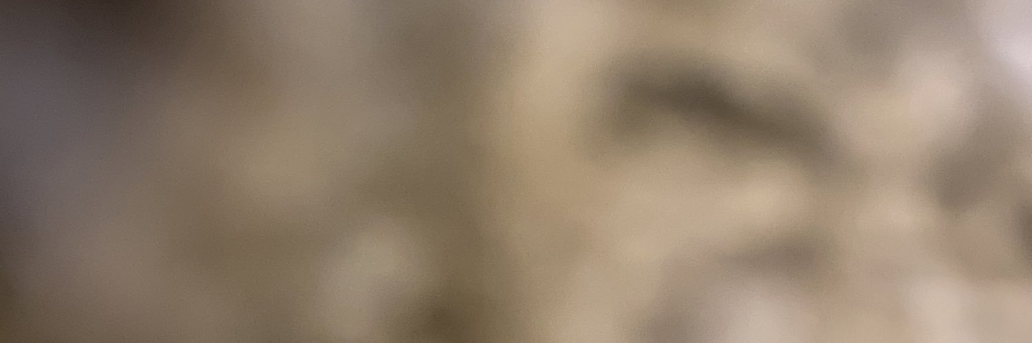 DogsInTheMouth's profile banner image