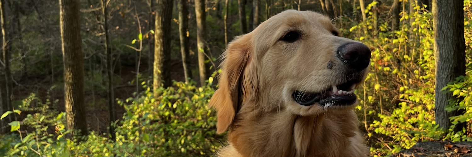 Wilson_C13's profile banner image