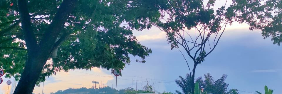 desiiwullan's profile banner image