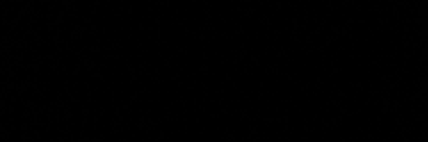 lara banner