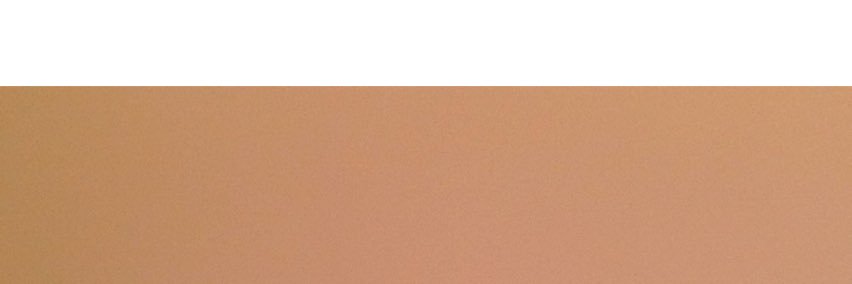 tampavol's profile banner image
