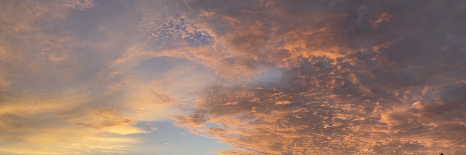svrrvh's profile banner image