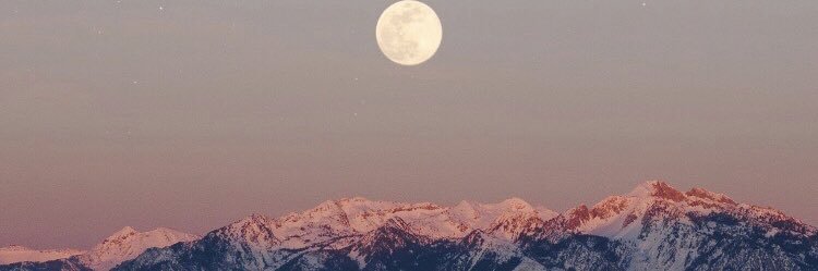 brooklynmeinzer's profile banner image