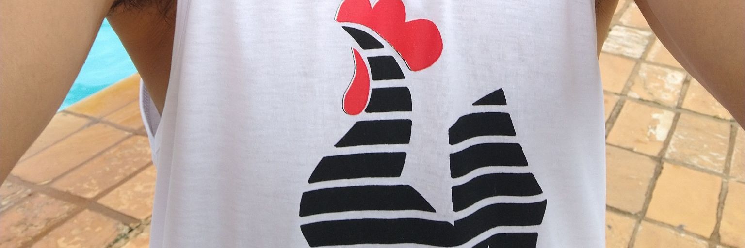 pauloibirite's profile banner image
