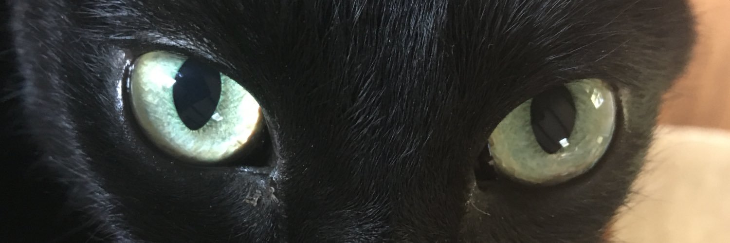 Mirrankei's profile banner image