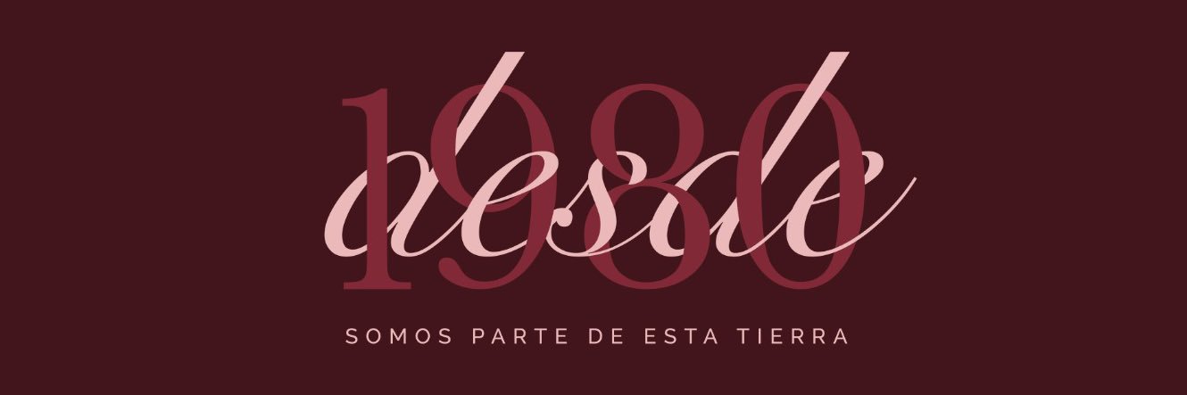 Amparo Mercado Gourmet banner