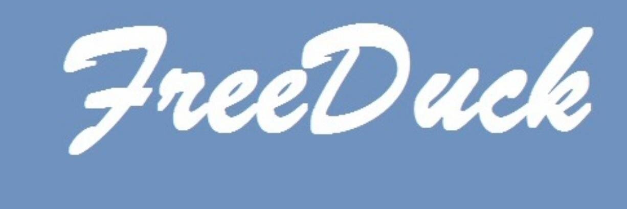 FreeDuck12's profile banner image