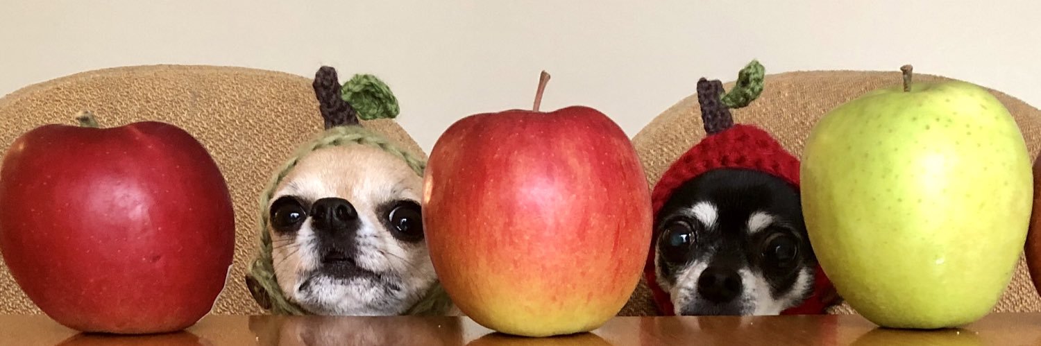knit_e's profile banner image