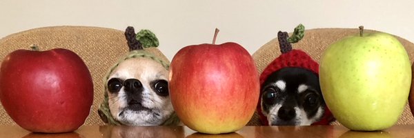 knit_e Profile Banner