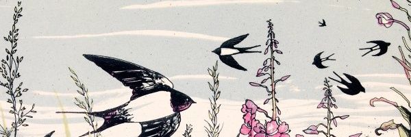 mnavanog Profile Banner