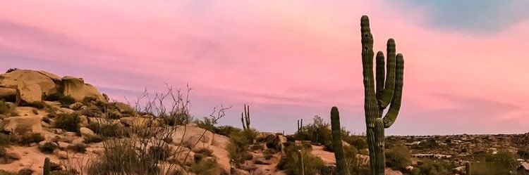 _vanesssav's profile banner image